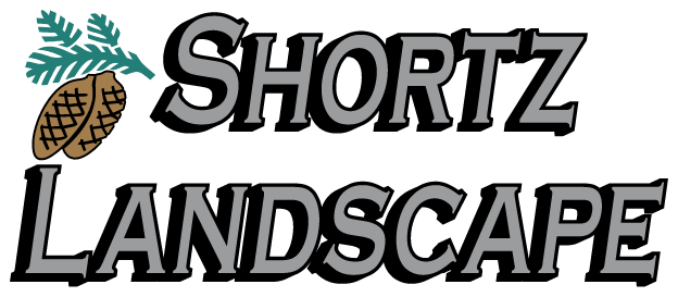 Shortz Logo