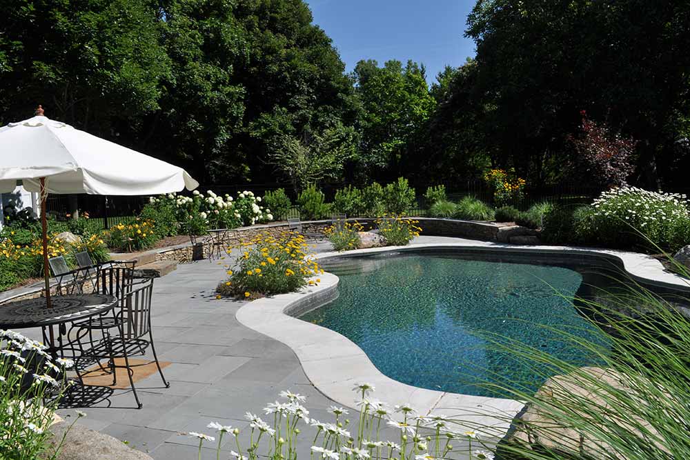 inground pool with patio, plants, table, umbrella, and chairs